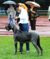 ZORKA 2,5 yers